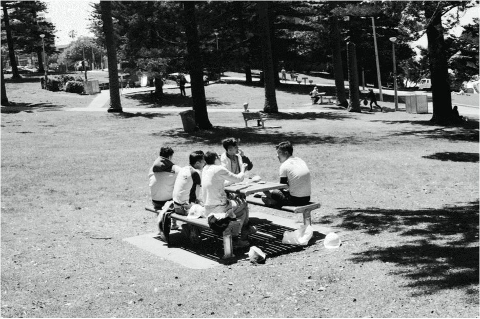 Sydney: a group sitting on a rug under Norfolk pines, bicycles parked behind them.
